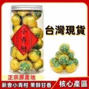 台灣現貨新會小青柑250g 陳年普洱柑普茶 陳香普洱 小青柑 普洱熟茶 柑普茶 獨立包裝 罐裝茶葉茶包 送禮首選年節送禮