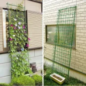 【廠家直銷🎉】花架 爬藤支架 月季爬藤架鐵線 蓮植物支撐桿 園藝花支架 葡萄架 爬藤網 支柱 花架 盆栽架 花盆架