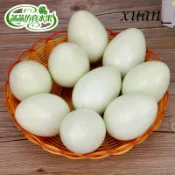 仿真模型 假水果模型 學校教具 假蔬菜仿真鴨蛋泡沫假鴨蛋模型攝影影視道具櫥柜裝飾早教兒童過家家-需滿299出貨