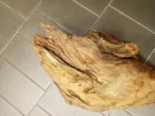 面交 樟木 樹頭椅 樹榴椅 實木椅座 原木花檯 花台 原木椅 戶外景觀 庭院造景 花圃 圍籬 步道 墊木材料 兩個一起賣