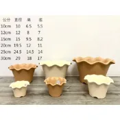 得藝的一天 花兒姿荷口塑膠花盆10公分 12公分 15公分 20公分 25公分 30公分  蓮花花盆