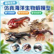 🌈「動物世界」仿真海洋生物蝦模型兒童認知波士頓龍蝦海蝦海底動物裝飾擺件