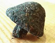 【水澐靝普洱茶】2004 下關茶廠 1顆寶焰牌緊茶 延續班禪緊茶 青沱 收購陳年普洱老茶