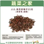 【蔬菜之家】J15.黑燕麥種子25克(有藥劑處理)(燕麥草.綠肥.較一般燕麥耐熱性佳.燕麥草可食用、打汁皆可)