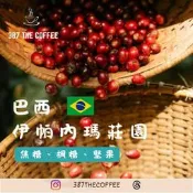 【387 The Coffee】濾掛式咖啡包｜巴西｜伊帕內瑪莊園 ｜日曬 ｜中度烘焙