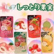 日本空運來台✈ 現貨供應中 半生水果乾 蘋果 哈密瓜 果乾 小零嘴 下午茶時光