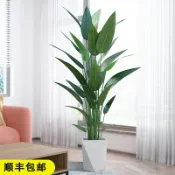 協貿國際日用品生活2館 客廳招財裝飾擺件美人蕉仿真綠植盆景植物喬遷新居禮品開業禮物