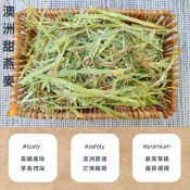 ♧牧草園♧ 澳洲 甜燕麥/甜小麥/甜大麥 不過篩 1KG 牧草 兔子牧草 寵物牧草