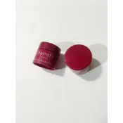 KOSE 高絲 無限肌緻 紅顏無瑕抗皺精華霜10g