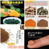 急速當日出貨 豐年蝦卵免孵化直接吃滿100克送10克 幼魚飼料 飼料 魚飼料 孔雀魚 豐年蝦 無殼豐年蝦 孔雀魚飼料
