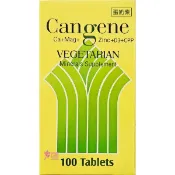 【松果購物】秉新健鈣加強錠(100錠/瓶)