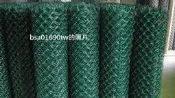 PVC塑膠包覆菱型網 （一般鍍鋅、鐵絲網、鐵網、金屬網、鍍鋅鐵網、圍籬用）