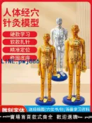 【便宜有好貨】針灸模型人體針灸小皮人中醫按摩全身十二經絡穴位可扎針銅人家用