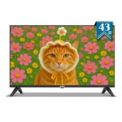 (店+)【SAMPO 聲寶】43型FHD杜比音效IPS液晶顯示器 EM-43FD630《特價福利品》