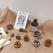 台灣現貨 🌙天然乾燥果實 松果 落葉松 魚鱗果 松塔 千層塔 乾燥花 乾燥花材料 森林系 拍攝道具 乾燥松果 聖誕花圈