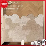 🌟特惠價🌟玄關絲圈地墊 絲圈地墊 門口地墊 颳泥地墊 大門地墊 進門地墊 颳泥地墊 PVC地墊 防滑墊 B9RB