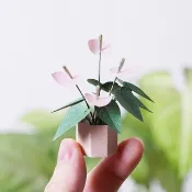 【紙植栽 DIY材料包 S】 火鶴花 | 9028406 紙風景