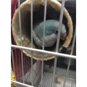 《Sunny.Pet》圓筒帳篷*中*冬日用*絨布內裡 (鸚鵡、吊床、鼠、鳥窩、樹洞、蜜袋鼬、寵物鼠)