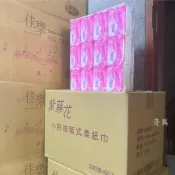 紫藤花衛生紙 抽取式柔紙巾 100抽 12包/串 衛生紙 柔紙巾 連續抽取式衛生紙