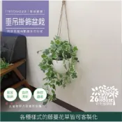 垂吊掛繩綠色盆栽❤️超美亞馬遜叢林風格❤️仿真藤蔓盆栽 藤蔓盆栽 客廳 假植物 落地盆栽 仿真蕨類 吊掛植物 吊掛假植物