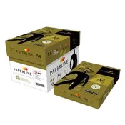 PAPERLINE GOLD金牌多功能影印紙/A4/70g/500張/包/5包/箱