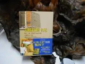 J312 美麗托斯卡尼 芙蘭西絲梅耶斯 臺灣商務印書館 2004  