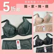 【B-E罩】曼黛瑪璉 Hibra大波系列 調整型內衣 R62177 提托 包覆 公司貨 有發票