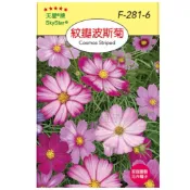 愛上種子 紋瓣波斯菊種子【花卉種子】約100粒 天星牌 穗耕種苗 彩色包裝種子