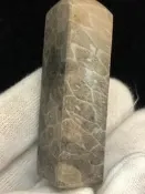 {水噹噹有夠豪}~天然魚鱗紋明顯黑菊花石方形印章