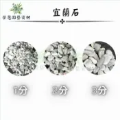 宜蘭石 水族石頭 溪砂 底沙底砂 過濾 1公斤 【榮恩園藝資材】