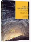 免運靈性開悟不是妳想的那樣傑德麥肯納著魯宓譯