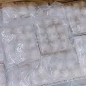 冷凍批發🐯鮮凍大口小章魚200g (6/8)一口小章魚 海產 急速冷凍 海鮮 火鍋配料