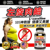 【熱銷NO.1】左旋肉鹼 燃燒膠囊 燃燒錠 代謝燃燒 燃燒酵素|分解酵素 頑固七日纖燃 體態關鍵 燃動配方 長期上班久坐