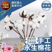 (店+)【織心手作】手工永生棉花 棉花頭 永生花 乾燥花 手作花束 永生 永生花材料 永生花材  棉花桿 單枝棉花頭