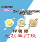 貼片LED燈珠1W 3W 5W大功率高亮白光小燈泡紅黃藍綠藍手電筒射燈