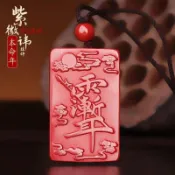 🌟在台出貨🌟道家法器飾品硃砂紫薇諱吊墜牌雨漸耳本命年護身符項鍊掛件平安符 平安符 香火袋 無事牌 護身符 招財 保平