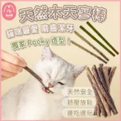 【毛小福】貓咪木天蓼棒🐈獨家POCKY蟲癭果/貓草棒 貓咪磨牙玩具 貓草 木天蓼 貓咪磨牙 貓咪用品 木天蓼粉 貓草玩具