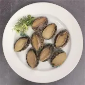 【Camaron 卡馬龍】頂級外銷級活凍帶殼鮑魚3入組(500公克/約10顆)