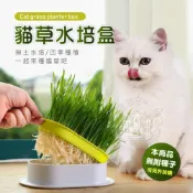 (店+)【小搗蛋鬼王國】小搗蛋鬼の王國 貓草水培盒(水培貓草盒 貓碗 免土 貓草 水耕 水植 種貓草 水培貓草 貓蔬菜)