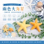 【微景小舖】微景觀 兩色大海星 地中海風格 海星 水族 微縮模型 DIY手作 海洋造景 多肉植物 苔蘚生態瓶 景觀盆栽