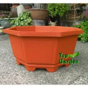 ★Top Garden★八角盆2尺8~塑膠盆，八角盆，大型花盆