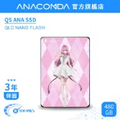 【隔日到貨】巨蟒 SSD 480GB SATA III 內接式 固態硬碟 二次元｜QS 安娜 ANA