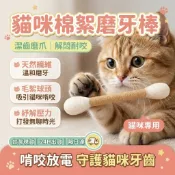 🐱猫咪玩具逗貓棒 貓薄荷大棉簽 新款羊毛氈磨牙娛樂自己解悶嗅聞寵物玩具