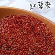 【需冷藏】紅藜麥 鼠食 鼠分裝 黃金鼠 三線鼠 一線鼠 銀狐鼠 布丁鼠