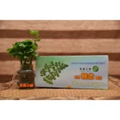 三鳳 辣木茶 1盒30包*2.7g共81g 辣木葉 台灣種植製造  素食可 三鳳辣木 辣木籽X 茶包