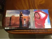 川井郁子 / 新世界