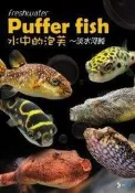{台中水族} 水中的泡芙 淡水河魨 書籍 各種河魨 娃娃 介紹