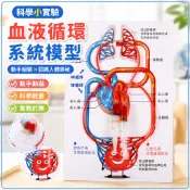 🌈「科學小實驗」國小生理知識認知科學實驗器材diy益智玩具人體血液循環系統模型