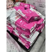 (店+)【Royal 皇家】【痴心人】免運 總代理供應 皇家K36 幼母貓13公斤 皇家 幼母貓飼料  貓繁殖包