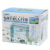 快樂水族日本SUDO【外掛式繁殖/隔離/飼育盒XL/ 2L